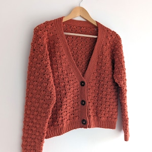 May include: A rust-colored crocheted cardigan with a V-neck and button closure. The cardigan has a textured stitch pattern and is hanging on a wooden hanger.