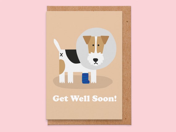 Get well sale soon dog gift