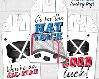 Hockey Good Luck Tags, Kids Ice Hockey Treat Tags, Printable Hockey Team and Coach Goodie Bags, Gift Tags with Rink, Puck, Goal and Sticks