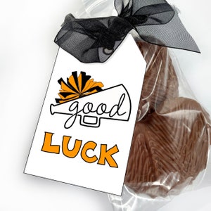 Good Luck Cheer Tags, Orange Cheerleading Team Treat Labels, Printable Poms Gift Tags or Stickers, Spirit Squad Dance Team Treat Tags image 3