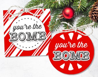 Hot Chocolate Bomb Tags, You're the Bomb Hot Cocoa Tags, Printable Candy Cane Stripe Cocoa Gift Tags or Labels with Instructions