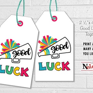 Cheer Good Luck Tags, Cheerleading Team Treat Labels, Printable Rainbow Cheer Favor Tags or Stickers, Spirit Squad or Dance Team Treat Tags image 2