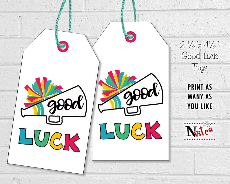 Cheer Good Luck Tags, Cheerleading Team Treat Labels, Printable Rainbow Cheer Favor Tags or Stickers, Spirit Squad or Dance Team Treat Tags image 2