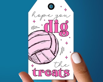 Volleybal Dig the Treats-tag, afdrukbare roze Let's Go Team Good Luck, digitaal downloadbestand