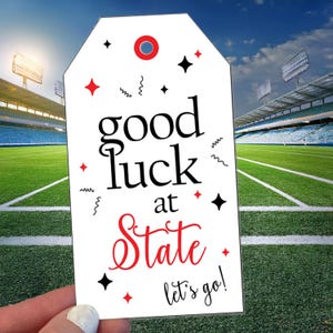 Good Luck at State Cheer and Dance Team Tags, Cheerleading Team Treat Labels, Printable Poms Competition Gift, Cheerleading Squad Bags