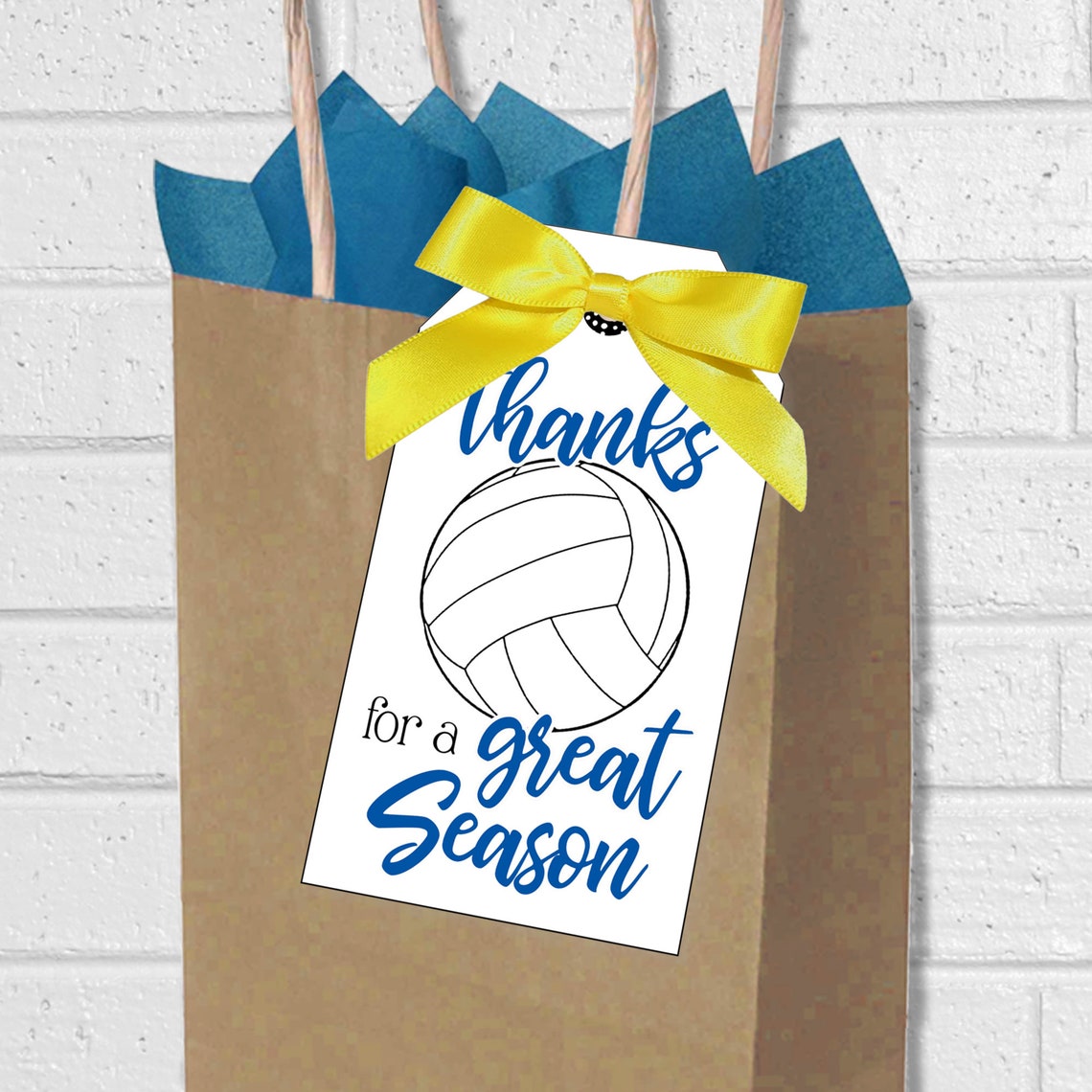 Volleyball Great Season Tags Printable End of Season - Etsy