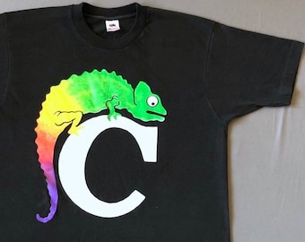 Années 90 CHAMELEON/DALI records t shirt xl made in usa fruit du métier à tisser vintage label band t shirt capitol rhino L7 hüsker dü drapeau noir
