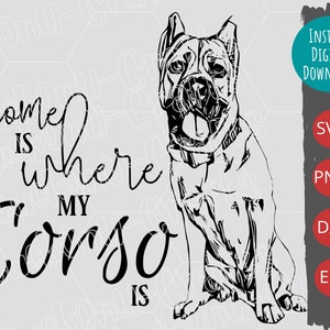 Home Is Where My Corso Is SVG Design, Cane Corso Mastiff Design, Instant Download, PNG