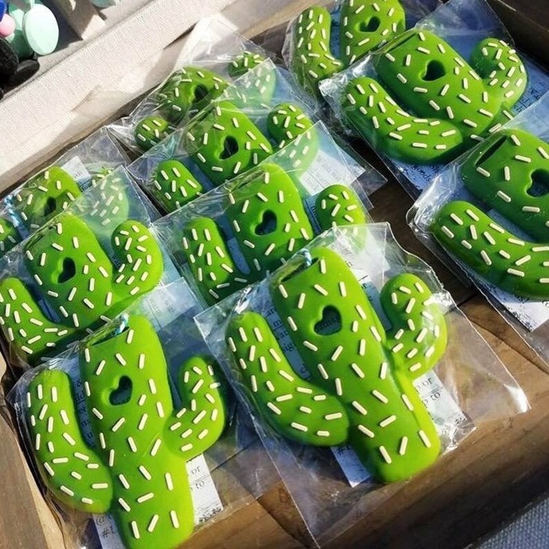 cactus teething toy