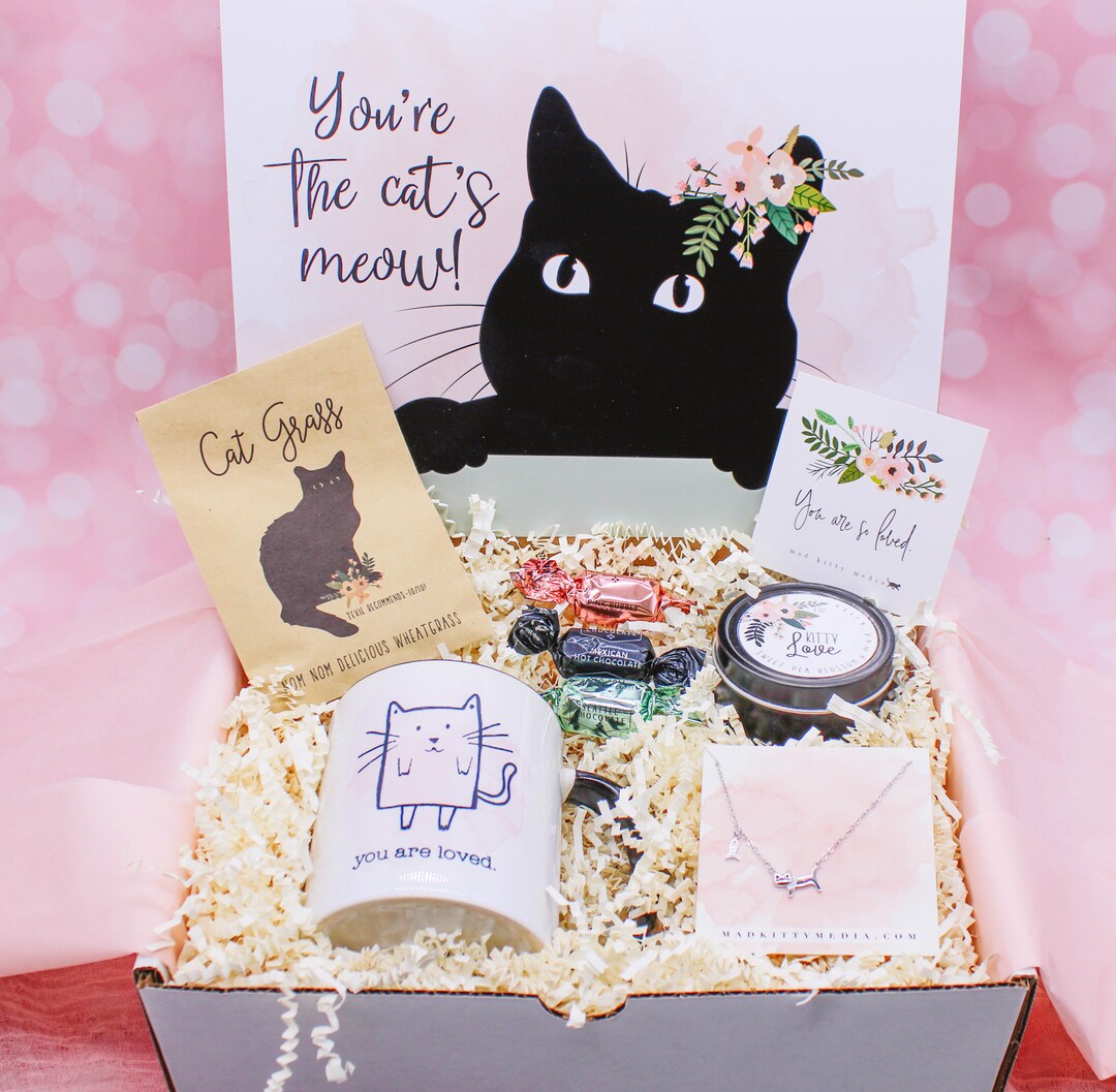 Cat Gift Box / Cat Lover Gift Box / Kitty Cat Gift Box / Best Etsy