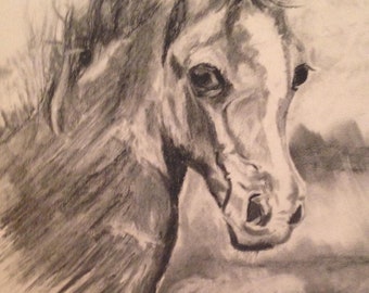 Colt Filly Pen & Ink Drawing: Signed Horse Art by Jan Holmes