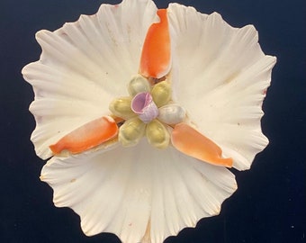 Elegant Gourmet Triple Natural Cockle Shell Salt Server for the Foodie/Connoisseur’s Table - Artisan Crafted.