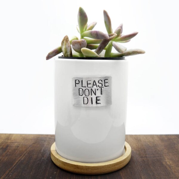 small planter, funny planter, please dont die, succulent planter, white planter, minimalist decoration, funny quote, home decor, ceramic pla