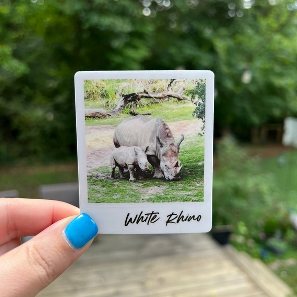 Rhino Sticker | Southern White Rhinos | Endangered Species | Safari stickers