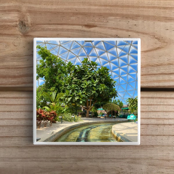 Living With the Land Drink Coaster | Epcot | Single Coaster | original photography | retro Epcot