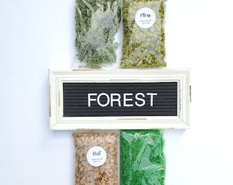 Sensory Bin | FOREST | Blair Waldorf Toys, Montessori Materials,