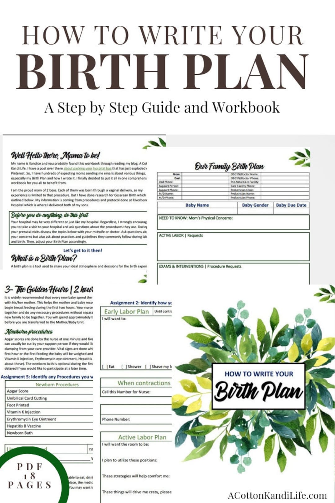 how-to-write-a-birth-plan-guide-and-workbook-printable-checklist-to