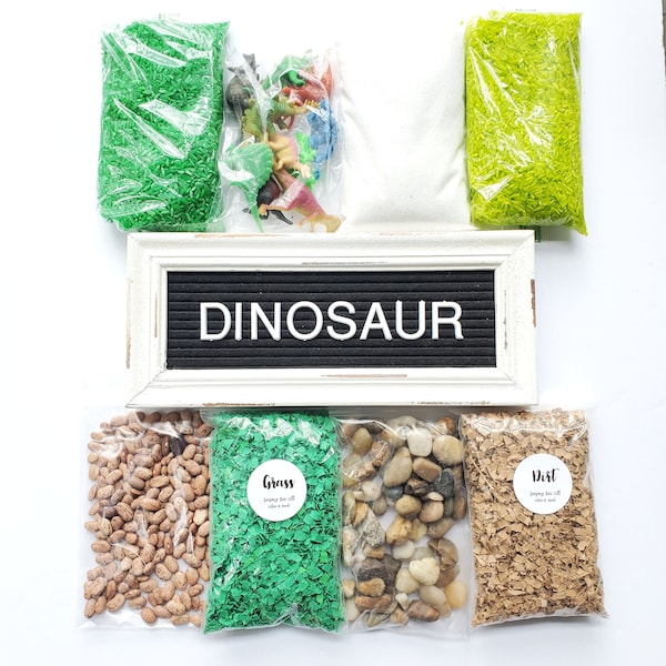 Sensory Bin | DINOSAUR | Montessori Materials, Waldorf Toys