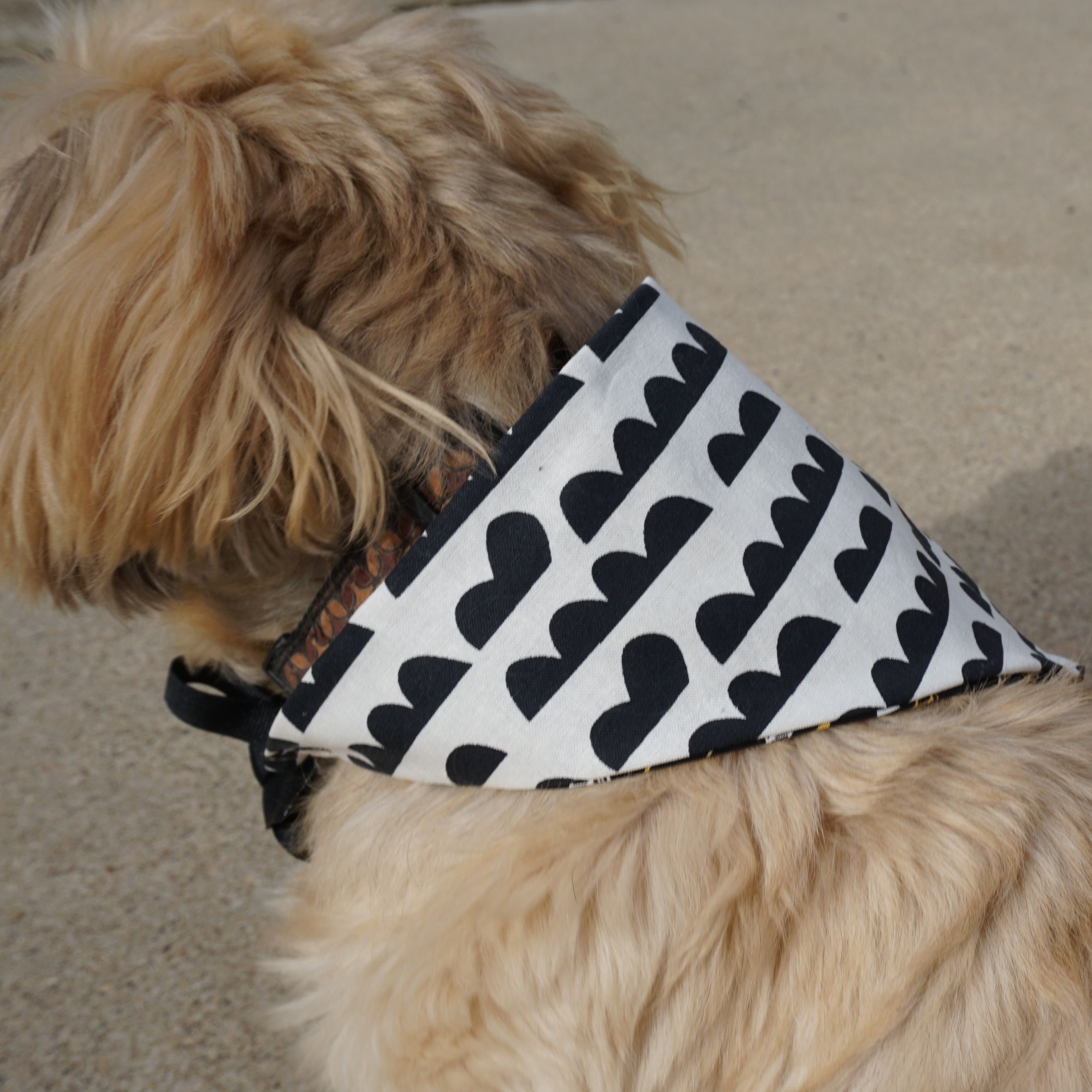 Dog Bandanas / Doggie Scarves / Dog Neck Decoration / Puppy Bandanas