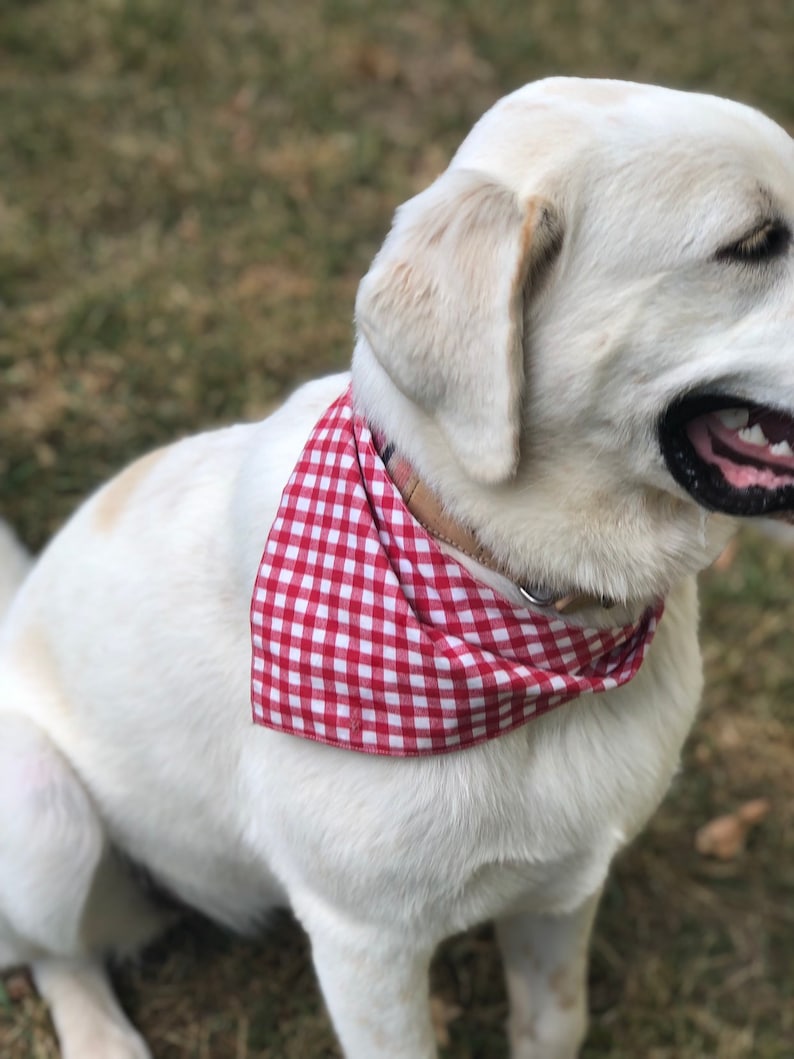 Dog Bandana Red Gingham Bandana for Dogs Snap Dog Bandana Etsy