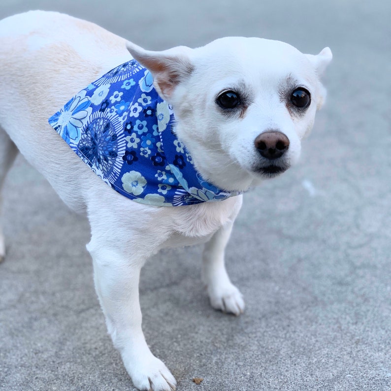 Blue Floral Dog Bandana Snap Dog Bandana Knotted Tie Dog Etsy