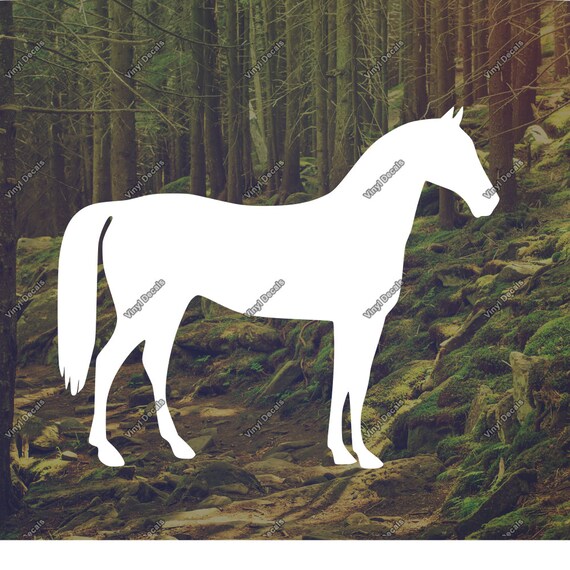 Horse Decal Horse Vinyl Decal Horse Sticker Laptop Decal | Etsy