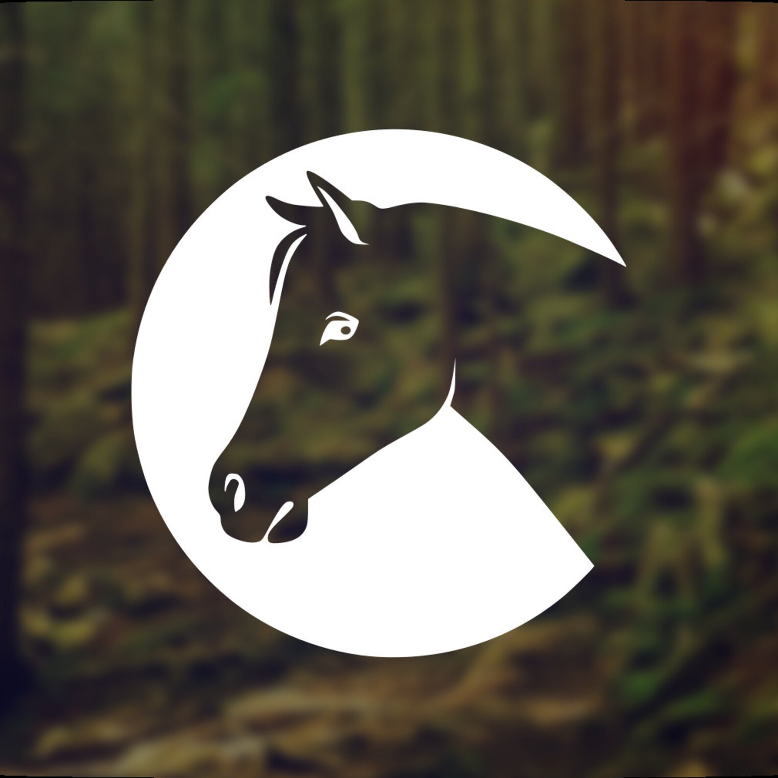 Horse Wall Decal Horse Car Decal Horse Laptop Sticker Etsy Canada