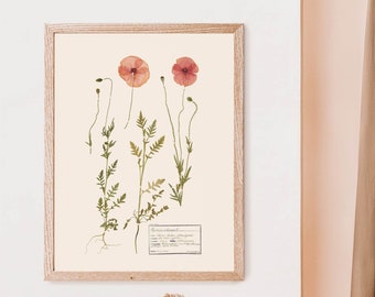poppy art print, pressed flower print, cottagecore decor, herbarium specimen, pressed flower canvas wall art, poppy aesthetic, dried poppy