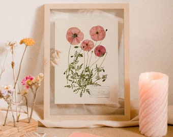 poppy art print, vintage cottagecore print, pressed flower wall art, botanical print, real dried poppies print, poppy aesthetic, wildflower