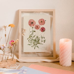 poppy art print, vintage cottagecore print, pressed flower wall art, botanical print, real dried poppies print, poppy aesthetic, wildflower