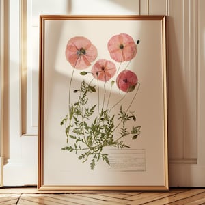 poppy art print, vintage cottagecore print, pressed flower wall art, botanical print, real dried poppies print, poppy aesthetic, wildflower