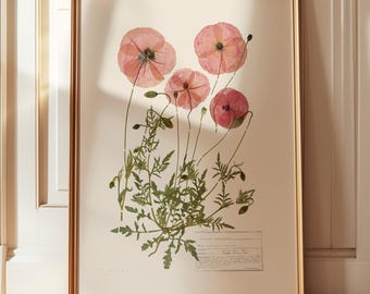 poppy art print, vintage cottagecore print, geperste bloem kunst aan de muur, botanische print, echte gedroogde klaprozen print, klaproos esthetiek, wilde bloemen
