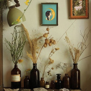 Puede incluir: Un bodeg&oacute;n con flores y plantas secas en botellas de vidrio marr&oacute;n sobre un estante de madera con un caj&oacute;n. El estante tiene un peque&ntilde;o dise&ntilde;o de mariposa en el caj&oacute;n. Hay dos cuadros enmarcados en la pared detr&aacute;s del estante. Una imagen es una ilustraci&oacute;n vintage de una mujer con una luna creciente. La otra imagen es una ilustraci&oacute;n vintage de una mujer sentada en un bosque.