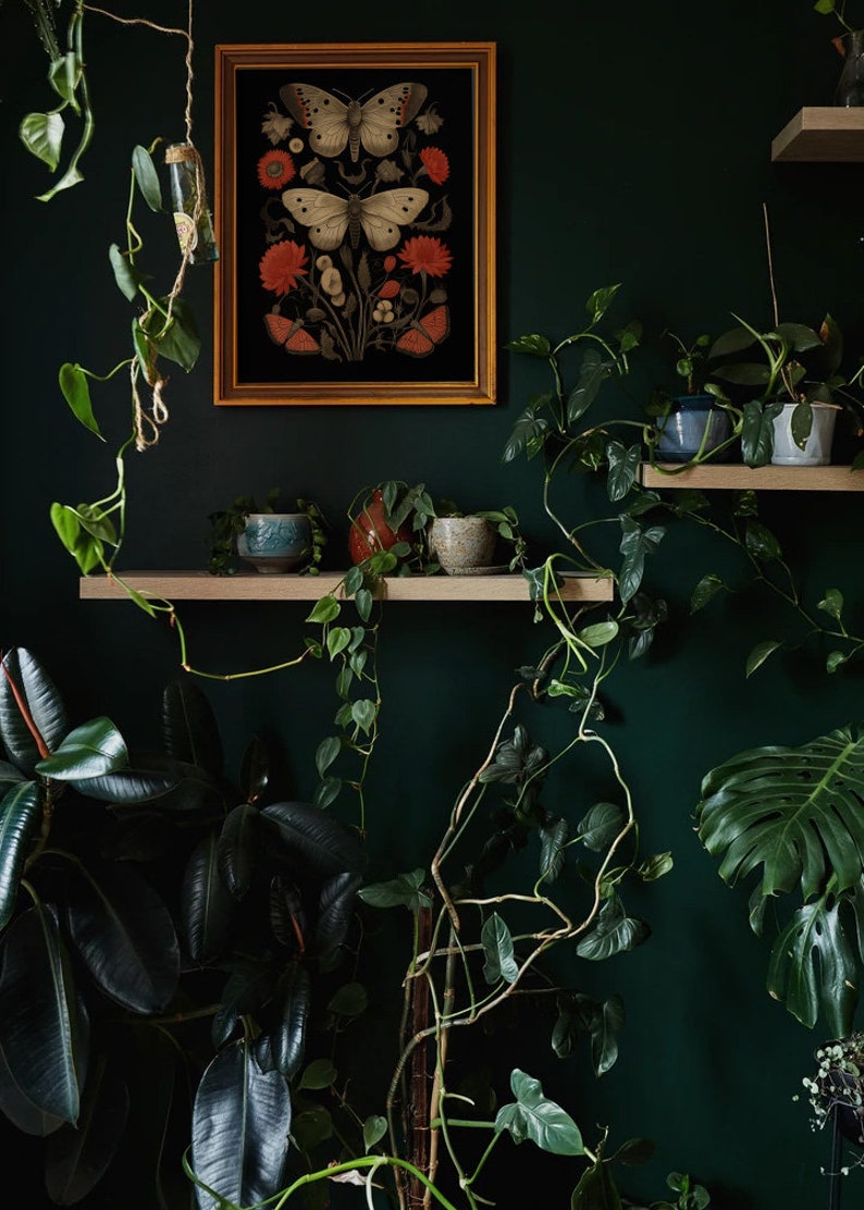 K&ouml;nnte beinhalten: Eine dunkelgr&uuml;ne Wand mit einem gerahmten Druck von Schmetterlingen und Blumen. Auf Regalen stehen mehrere Topfpflanzen, darunter eine gro&szlig;e Monstera.