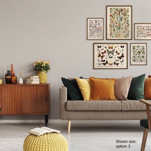 K&ouml;nnte beinhalten: Ein Wohnzimmer-Interieur mit einem braunen Sofa und einem gr&uuml;nen Sessel. Die Wand ist mit f&uuml;nf gerahmten botanischen Drucken dekoriert, die Illustrationen von Schmetterlingen, B&auml;umen und Pilzen zeigen. Das Sofa hat mehrere Kissen in verschiedenen Farben, darunter Orange, Gr&uuml;n und Braun. Eine Topfpflanze steht auf dem Boden neben einem Holzschrank.