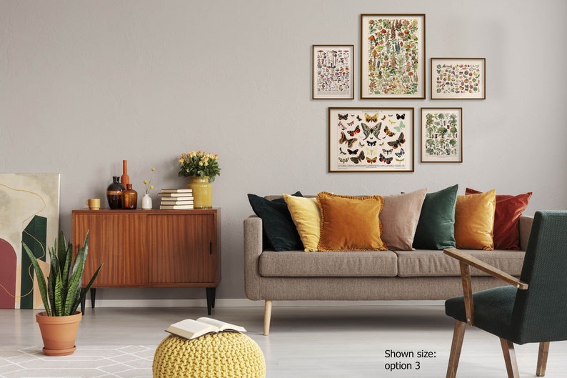 K&ouml;nnte beinhalten: Ein Wohnzimmer-Interieur mit einem braunen Sofa und einem gr&uuml;nen Sessel. Die Wand ist mit f&uuml;nf gerahmten botanischen Drucken dekoriert, die Illustrationen von Schmetterlingen, B&auml;umen und Pilzen zeigen. Das Sofa hat mehrere Kissen in verschiedenen Farben, darunter Orange, Gr&uuml;n und Braun. Eine Topfpflanze steht auf dem Boden neben einem Holzschrank.