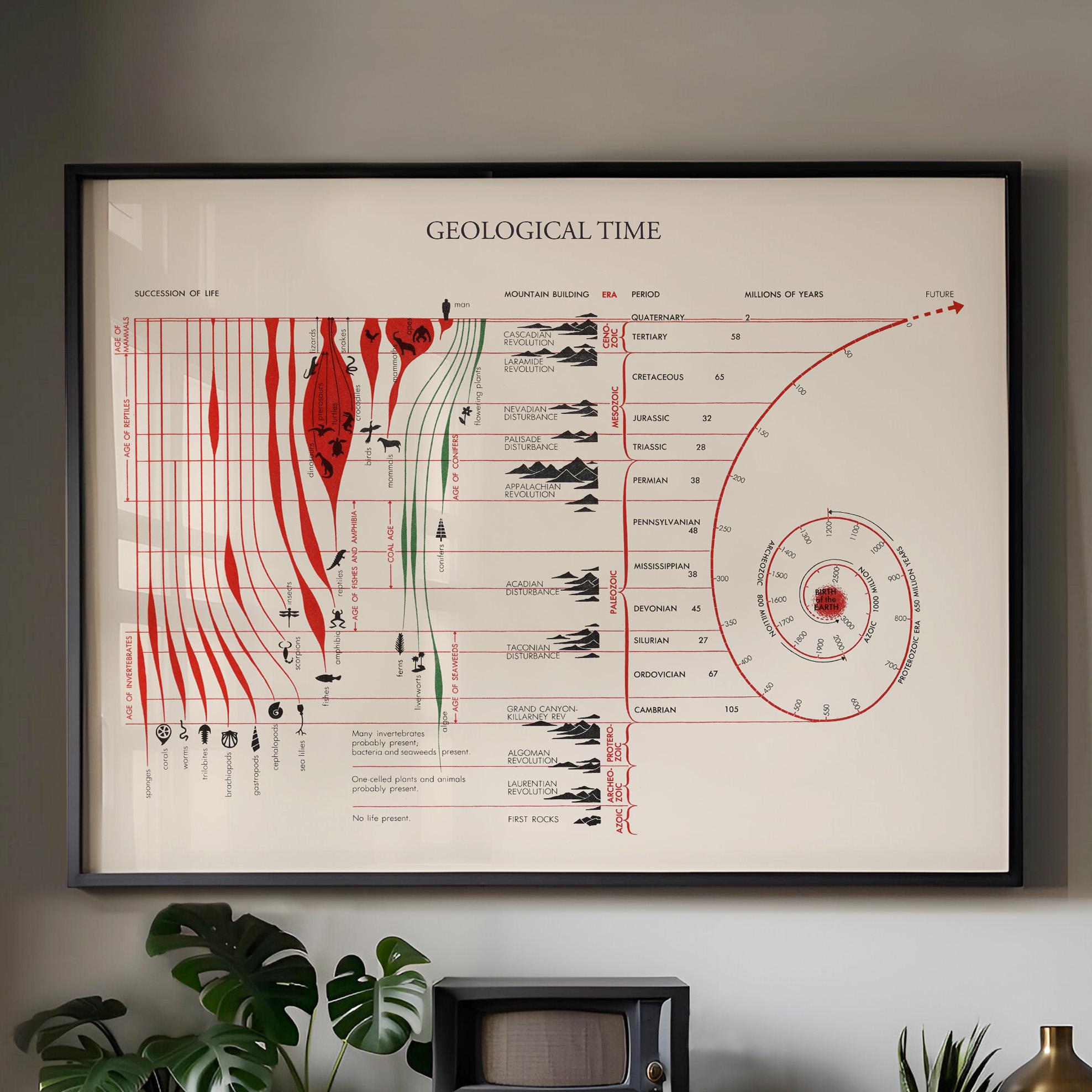 Geology Print, Geological Time Print, History of Life Chart, Geology ...
