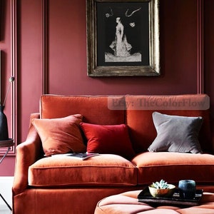May include: A burnt orange velvet sofa with three cushions, one red, one orange, and one grey. The sofa is in front of a burgundy wall with a framed black and white print. A matching burnt orange velvet footstool sits in front of the sofa.