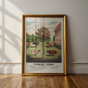 May include: A vintage poster depicting four different breeds of cows in a rural setting. The poster is titled "Typical Cows" and features a Holstein, Ayrshire, Jersey, and Short-Horn cow.