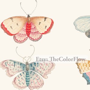 K&ouml;nnte beinhalten: Vier Vintage-Illustrationen von Schmetterlingen mit filigranen Details. Die Schmetterlinge sind in Rosa-, Blau-, Braun- und Graut&ouml;nen gemalt.