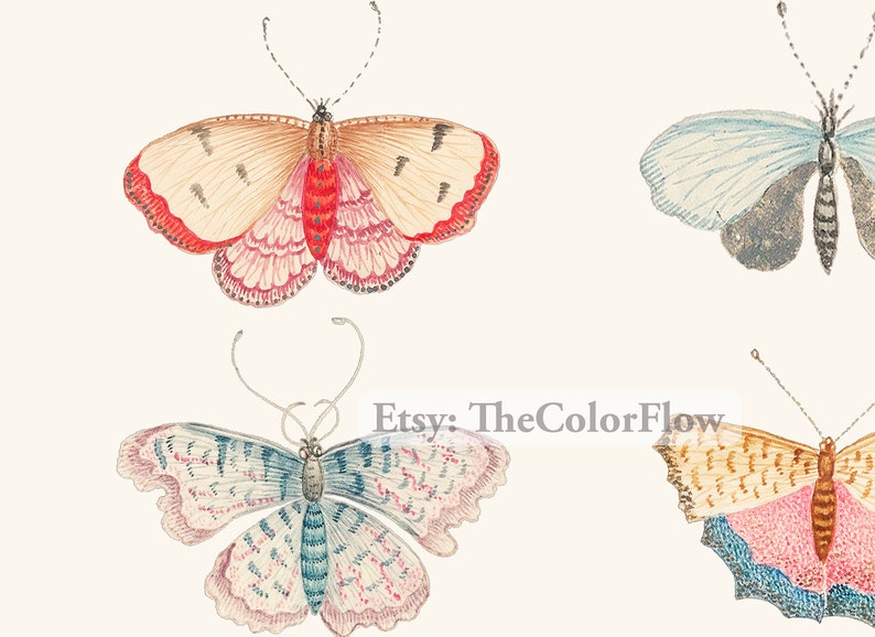 K&ouml;nnte beinhalten: Vier Vintage-Illustrationen von Schmetterlingen mit filigranen Details. Die Schmetterlinge sind in Rosa-, Blau-, Braun- und Graut&ouml;nen gemalt.