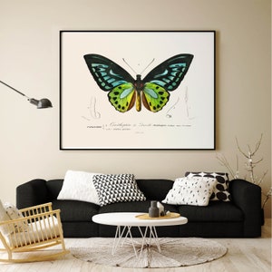 Green Butterfly Art Print Vintage Butterfly Poster - Etsy