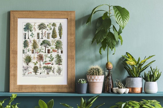 Vintage tree poster woodland art print colorful tree art | Etsy