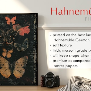 May include: A framed print with a black background featuring a collection of butterflies in various shades of brown, orange, and red. The print is titled "Hahnem&uuml;hle FineArt" and includes information about the paper used for printing.