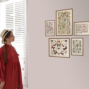 K&ouml;nnte beinhalten: Eine Sammlung von f&uuml;nf gerahmten botanischen Drucken mit verschiedenen Insekten, Blumen und B&auml;umen. Die Drucke sind in einem Raster auf einer hellfarbigen Wand angeordnet. Die Drucke sind im Vintage-Stil gehalten und haben einen hellbraunen Rahmen.