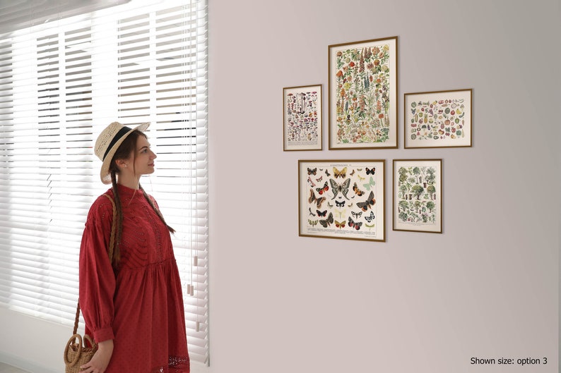 K&ouml;nnte beinhalten: Eine Sammlung von f&uuml;nf gerahmten botanischen Drucken mit verschiedenen Insekten, Blumen und B&auml;umen. Die Drucke sind in einem Raster auf einer hellfarbigen Wand angeordnet. Die Drucke sind im Vintage-Stil gehalten und haben einen hellbraunen Rahmen.
