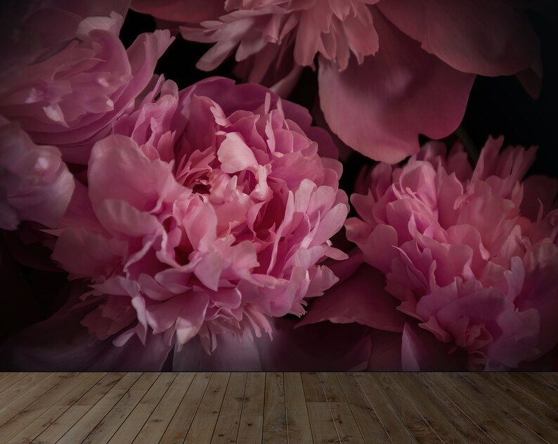 Peony Wall Mural Dark Peony Wallpaper Dark Floral Wallpaper Etsy