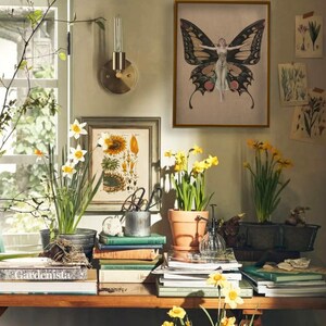 Pode incluir: Uma natureza morta com uma cole&ccedil;&atilde;o de impress&otilde;es bot&acirc;nicas vintage, uma impress&atilde;o emoldurada de uma mulher com asas de borboleta e narcisos em vaso. As impress&otilde;es s&atilde;o exibidas em uma parede com uma prateleira de madeira abaixo, que est&aacute; cheia de livros e outros itens decorativos.