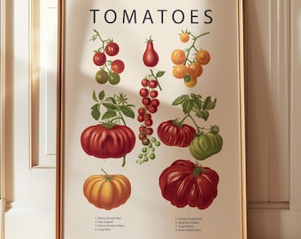 tomato varieties poster, vintage tomato print, food lovers gift, large kitchen wall art, red kitchen decor, 8x10 kitchen print, tomato chart