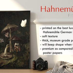 Dark Cottagecore Art Print, Moody Dark Academia Wall Art, Dark Botanical Print, Moody Oil Painting, Mushroom Print, Dark Forest Goblincore image 9